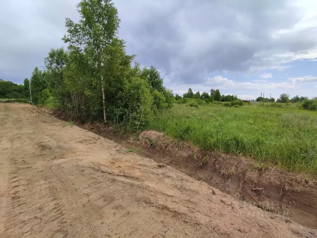 Участок в Новгородская область, Новгородский район, Ракомское с/пос, ... - Фото 1