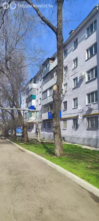 1-комнатная квартира: Чапаевск, Короткая улица, 1 (31.3 м) - Фото 0