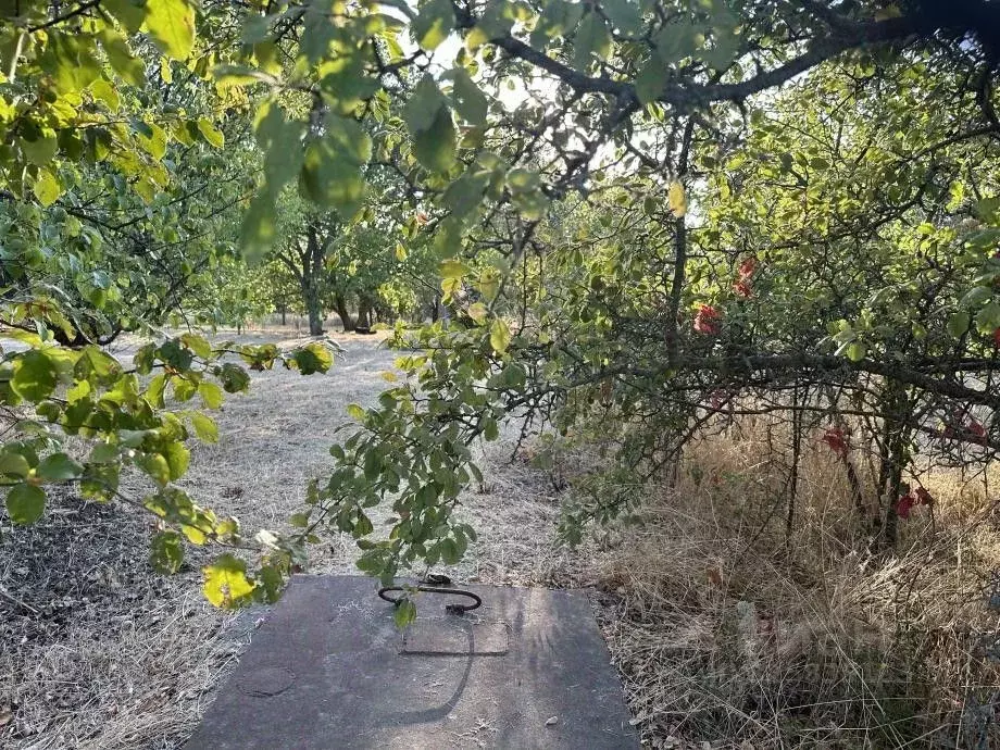 Участок в Крым, Симферопольский район, Б сектор 363 (8.0 сот.) - Фото 1