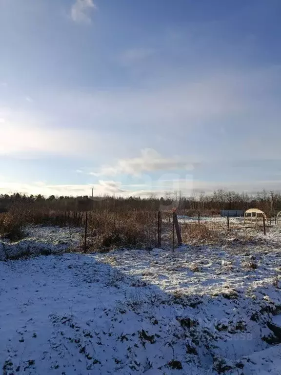 Дом в Ярославская область, Рыбинский муниципальный округ, д. ... - Фото 1