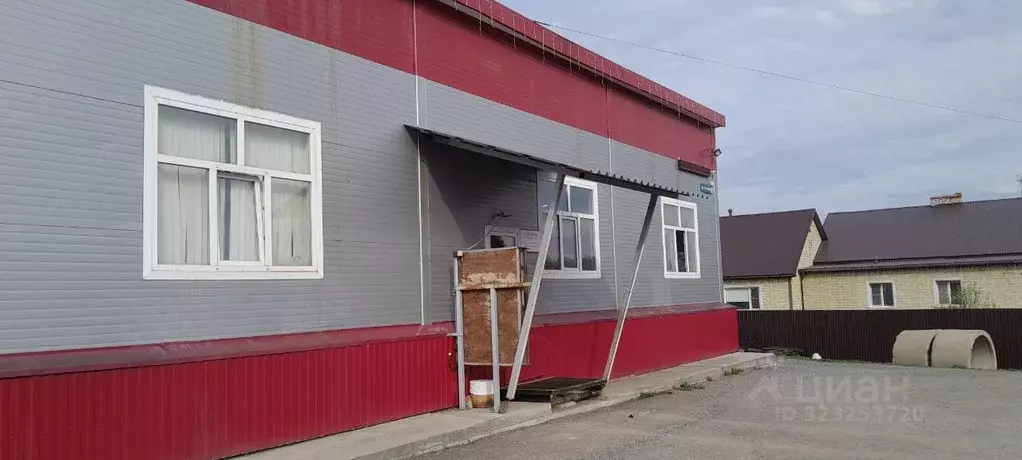 Помещение свободного назначения в Новосибирская область, Мошково рп ... - Фото 1