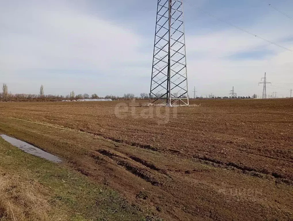 Участок в Крым, Кировский район, с. Абрикосовка ул. Восточная (60.0 ... - Фото 0