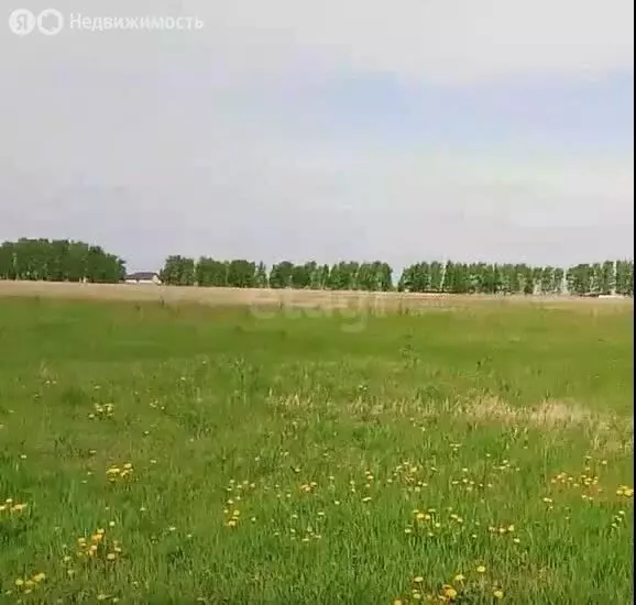 Участок в село Ребровка, коттеджный посёлок Новая Ребровка (10 м) - Фото 1