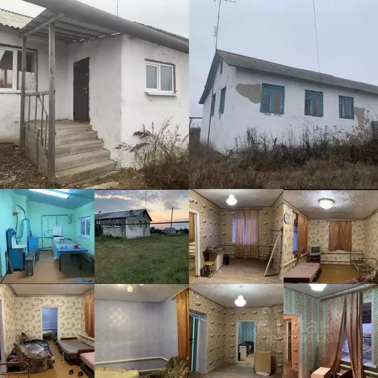 3-к кв. Саратовская область, Калининский район, Казачкинское ... - Фото 1