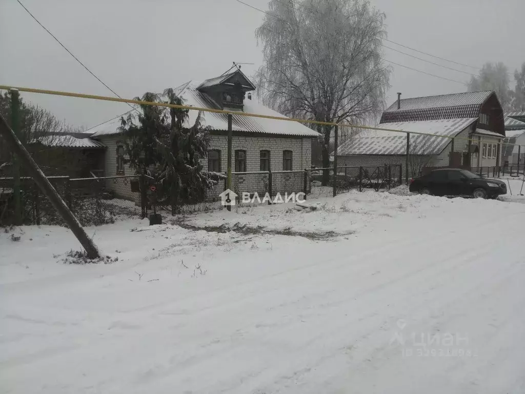 Участок в Нижегородская область, Лысковский район, с. Бармино ... - Фото 2