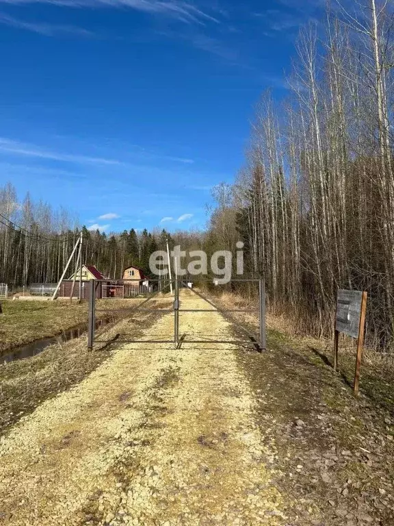 Участок в Ленинградская область, Тосненский район, Трубникоборское ... - Фото 0