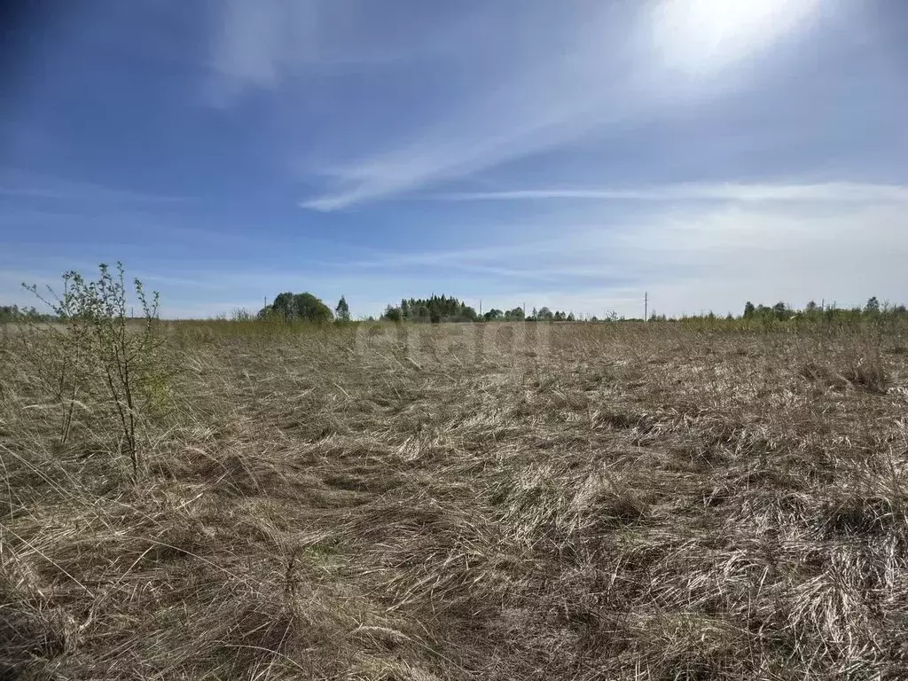 Участок в Смоленская область, Смоленский муниципальный округ, ... - Фото 1