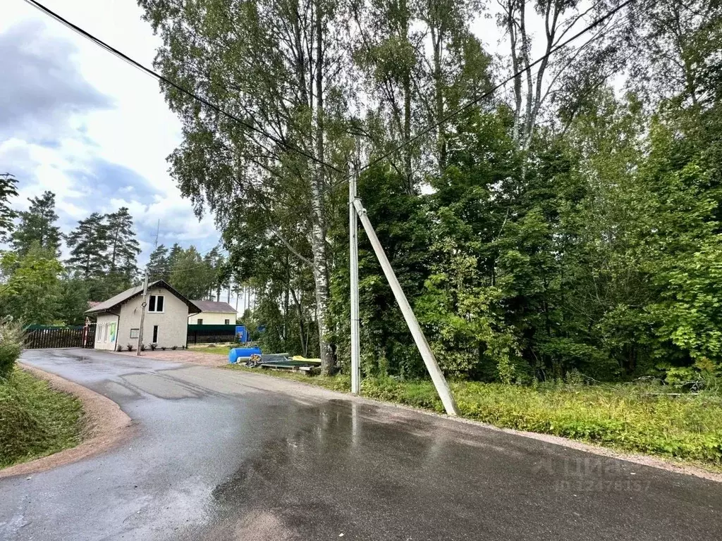 Участок в Ленинградская область, Всеволожский район, Куйвозовское ... - Фото 1