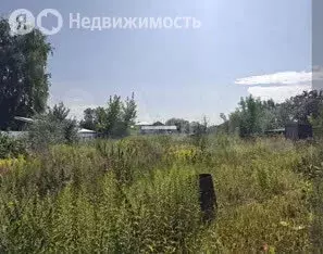 Участок в Ярославский муниципальный округ, СНТ Ветеран (6.1 м) - Фото 1