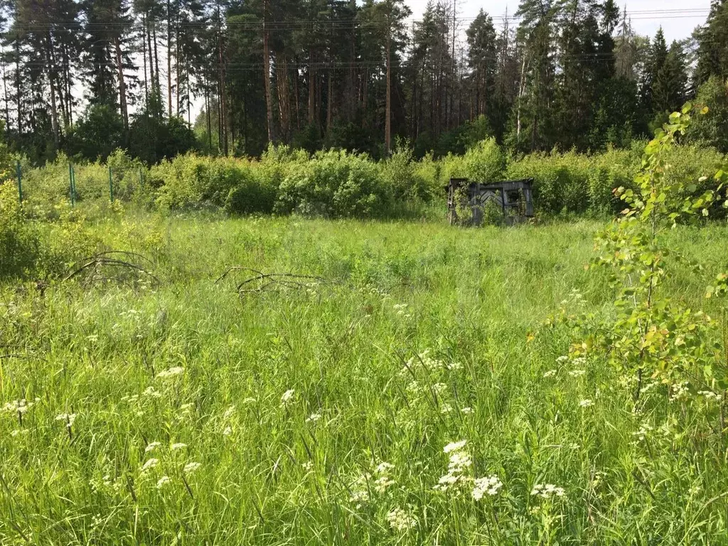 Купить Участок В Фрязино Московской Области