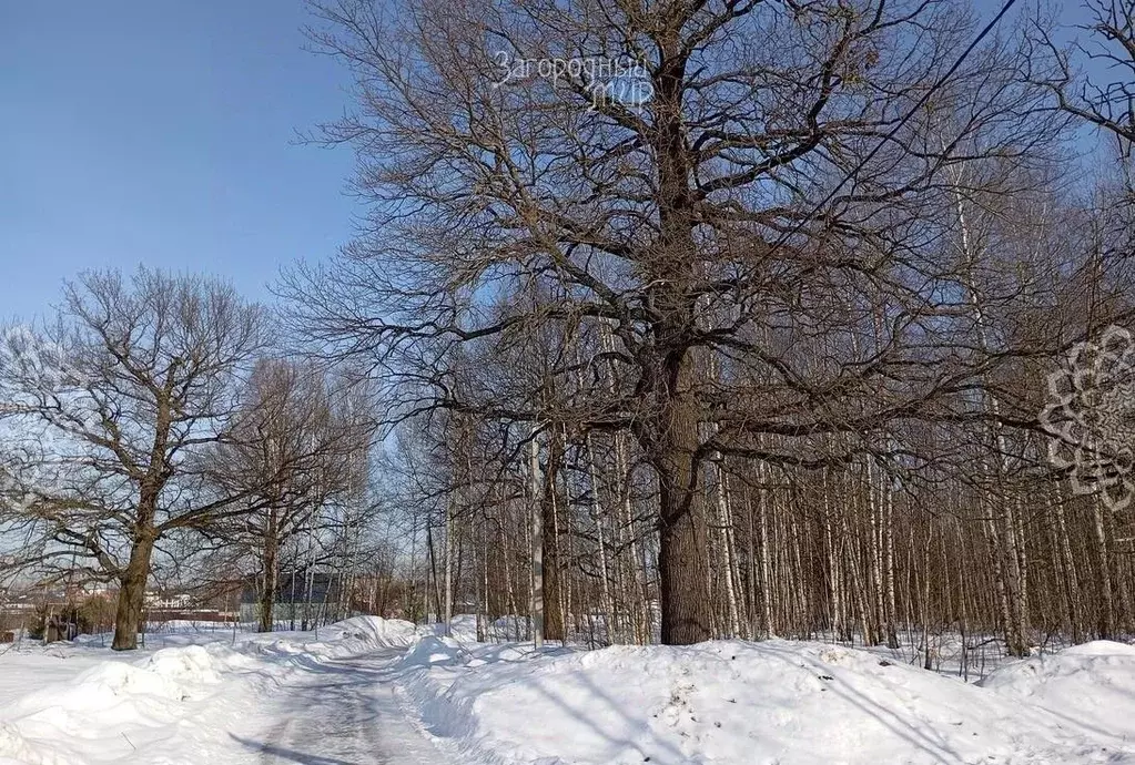 Участок в Московская область, Богородский городской округ, Северный ... - Фото 0