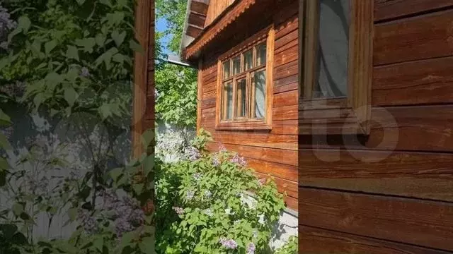 Дача 34,5 м на участке 11 сот. - Фото 1