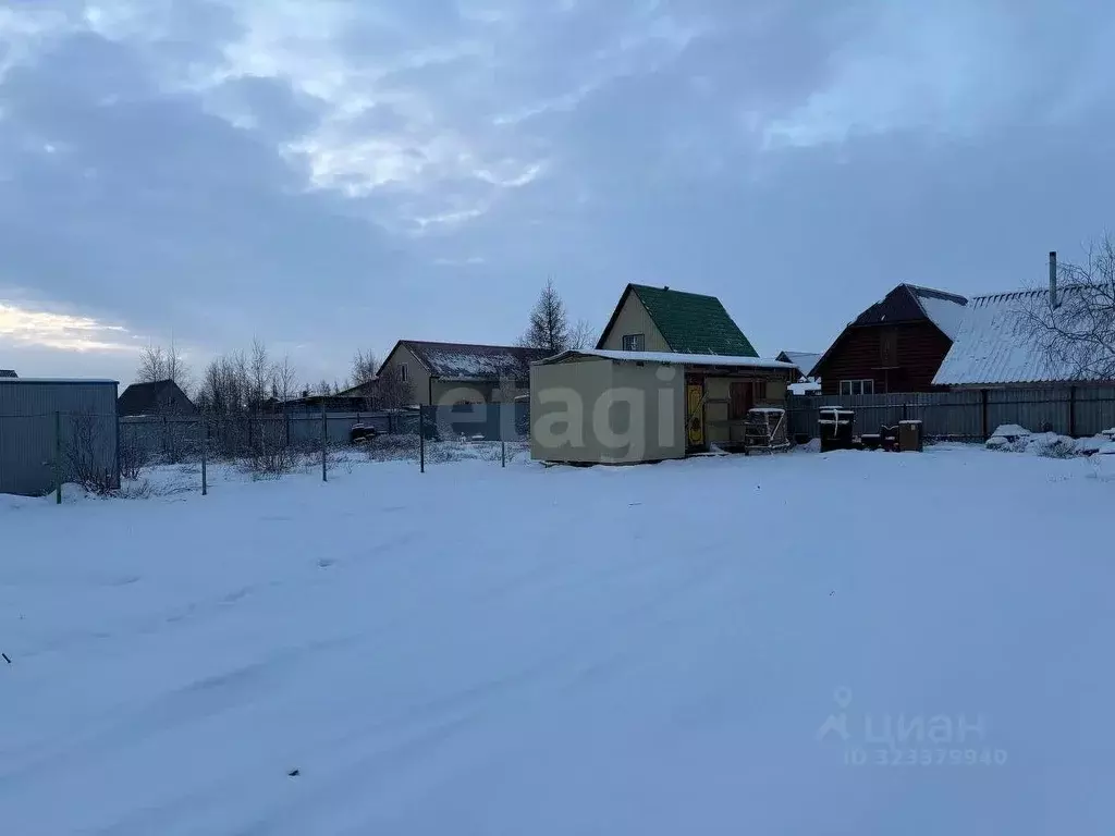 Участок в Ямало-Ненецкий АО, Новый Уренгой Титан ДНТ, 76 (6.0 сот.) - Фото 1