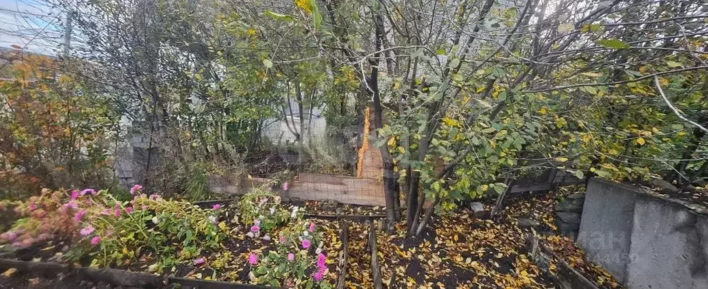 Участок в Свердловская область, Екатеринбург Горка СНТ,  (4.67 сот.) - Фото 1