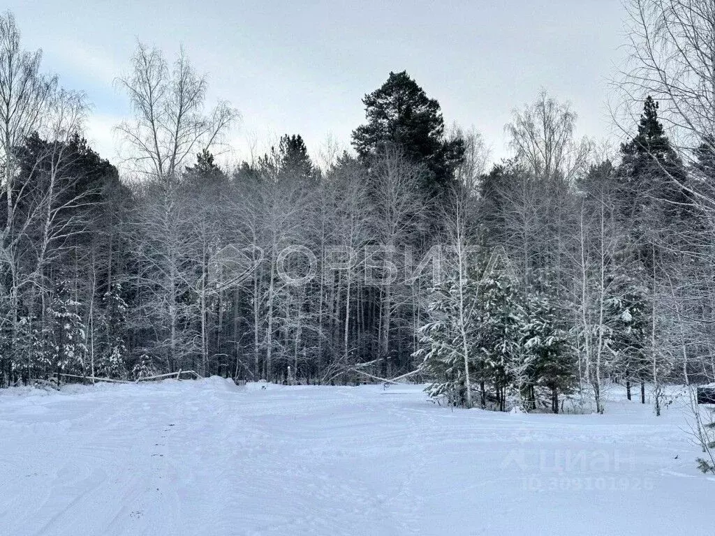 Участок в Тюменская область, Тюменский район, д. Ушакова  (7.0 сот.) - Фото 0