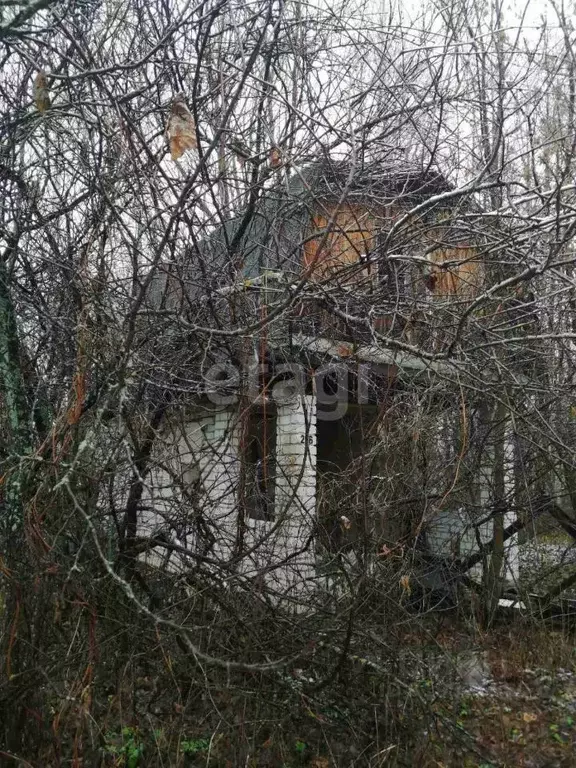 Участок в Нижегородская область, Выкса ул. Металлургов (10.0 сот.) - Фото 1