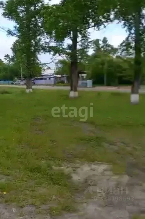 Дом в Амурская область, Бурейский муниципальный округ, с. Родионовка ... - Фото 2