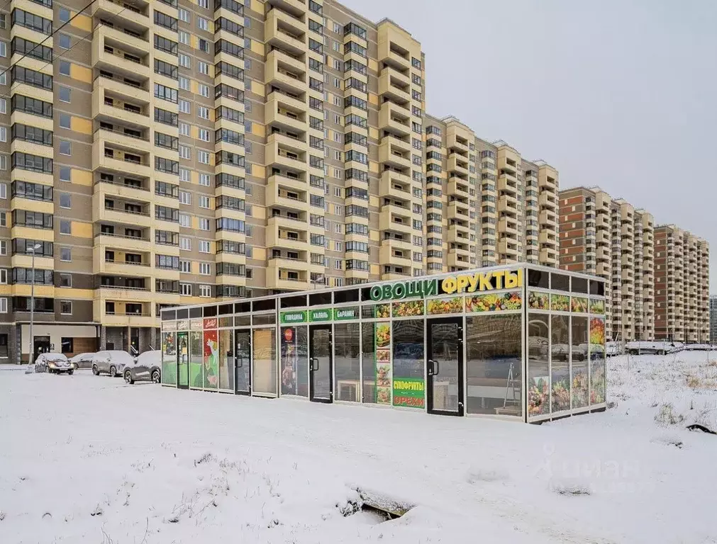 Торговая площадь в Ленинградская область, Мурино Всеволожский район, ... - Фото 2