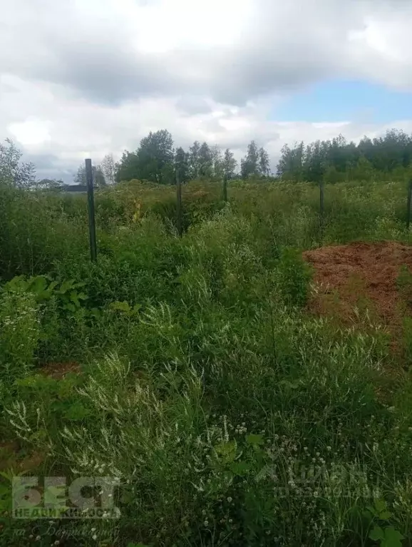 Участок в Московская область, Щелково городской округ, Трубинская тер. ... - Фото 2