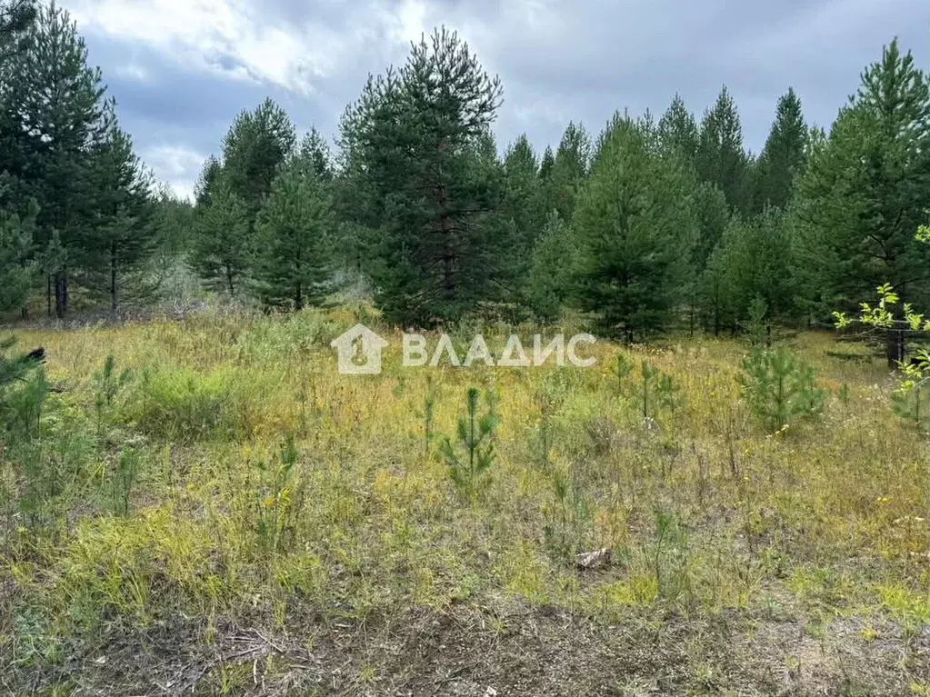Участок в Бурятия, Тарбагатайский район, Заводское с/пос, пос. ... - Фото 2