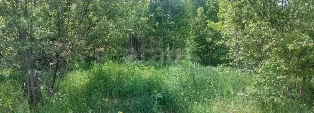 Участок в Томская область, Томский район, Уютный ДНТ ул. Центральная ... - Фото 1