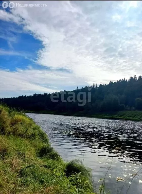 Участок в Калужская область, Юхновский муниципальный округ, сельское ... - Фото 1