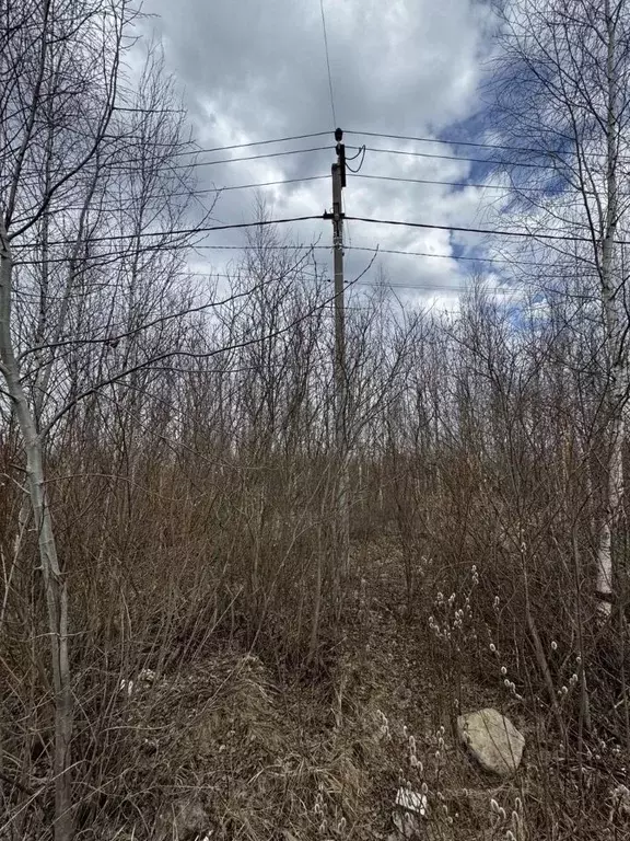 Участок в Ленинградская область, Тосненский район, Красный Бор ... - Фото 2