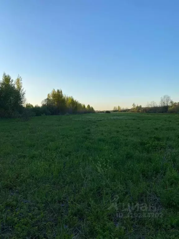 Участок в Новгородская область, Новгородский район, Бронницкое с/пос, ... - Фото 1