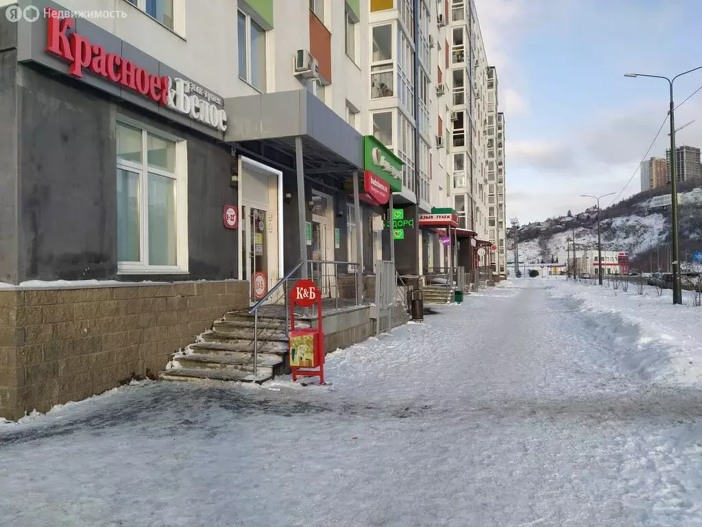 Торговая площадь (74.7 м) - Фото 2