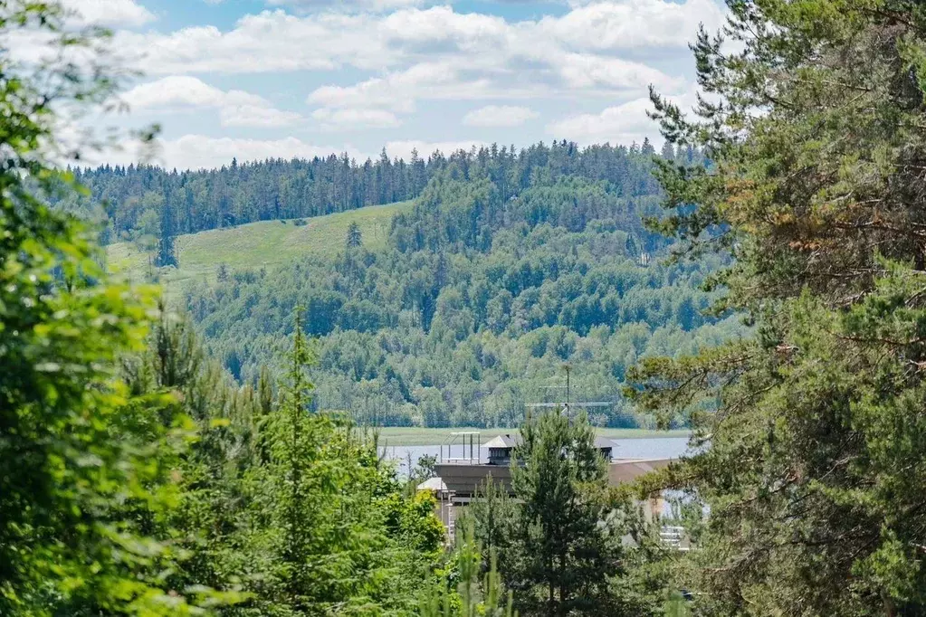 Участок в Ленинградская область, Приозерский район, Красноозерное ... - Фото 1