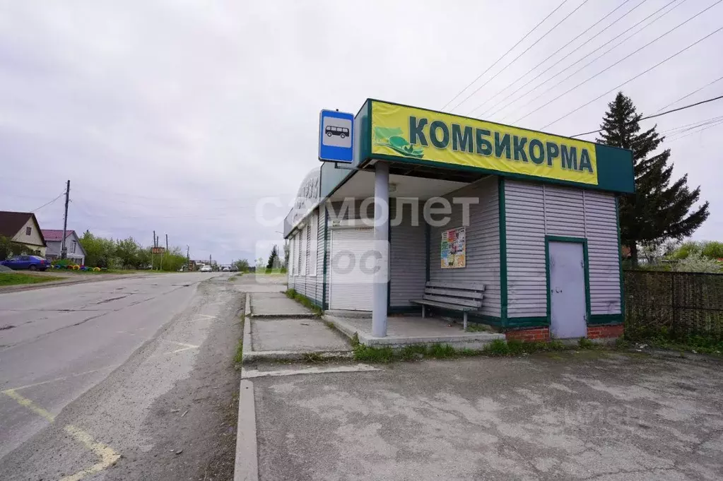 Торговая площадь в Челябинская область, Кыштым ул. Мамина-Сибиряка, 53 ... - Фото 0