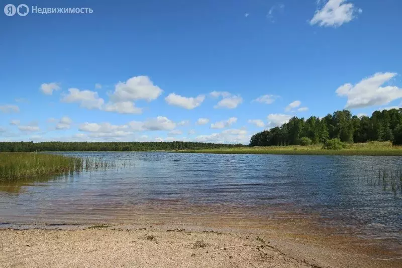 Дом в Шекснинский район, сельское поселение Нифантовское, СНТ ... - Фото 0