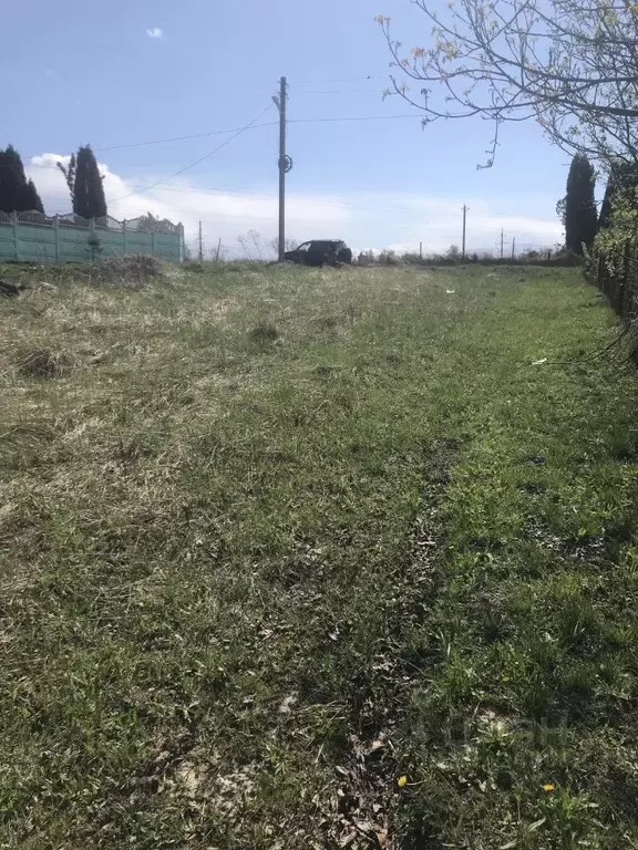 Участок в Брянская область, Выгоничское городское поселение, д. Клинок ... - Фото 1