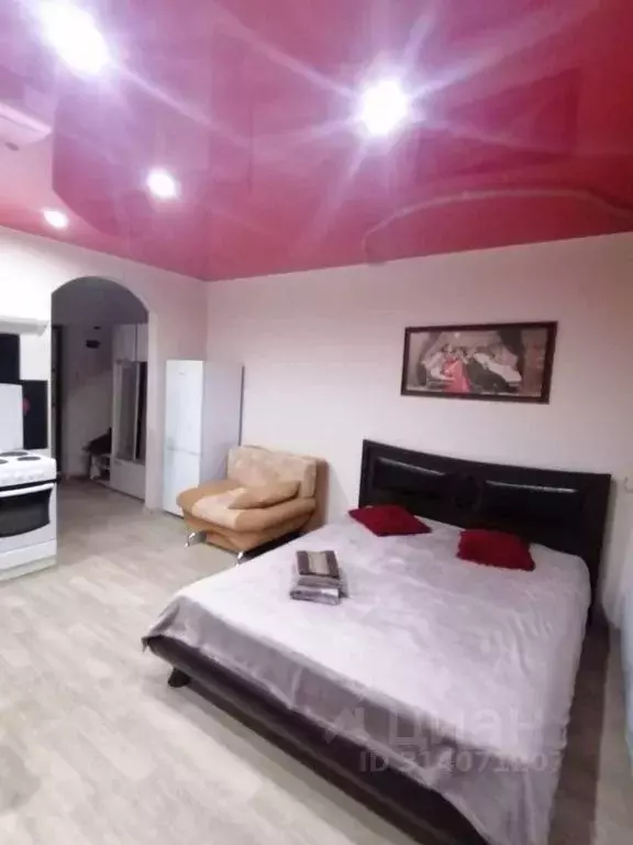 Студия Хабаровский край, Хабаровск Беломорская ул., 19А (26.0 м) - Фото 1