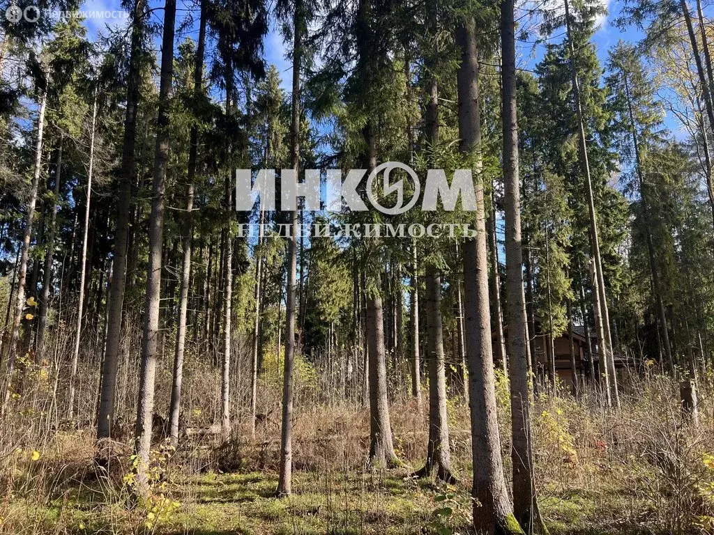 Участок в Московская область, городской округ Пушкинский, деревня ... - Фото 1