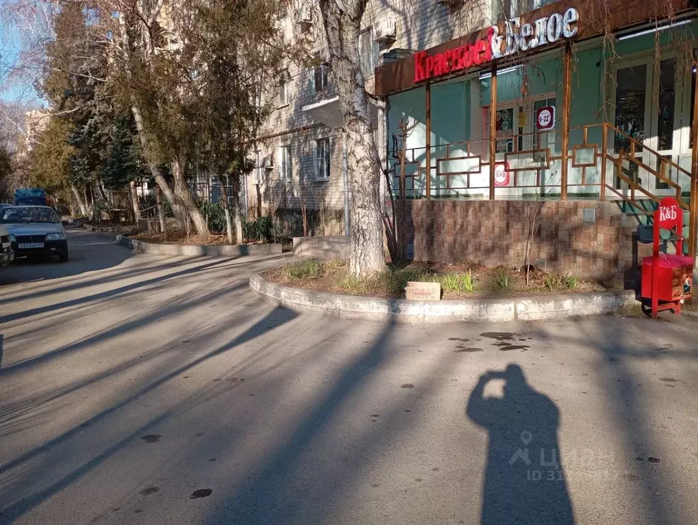 Помещение свободного назначения в Краснодарский край, Анапа ... - Фото 0