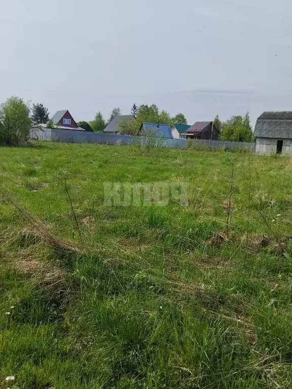 Участок в Вологодская область, Сокольский муниципальный округ, д. ... - Фото 1