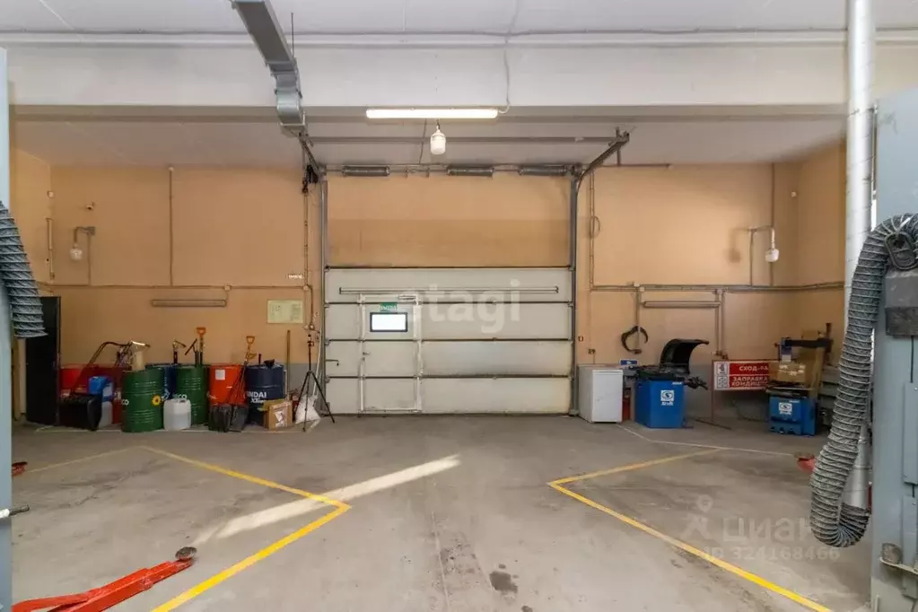 Помещение свободного назначения в Тюменская область, Тюмень ул. 30 лет ... - Фото 1