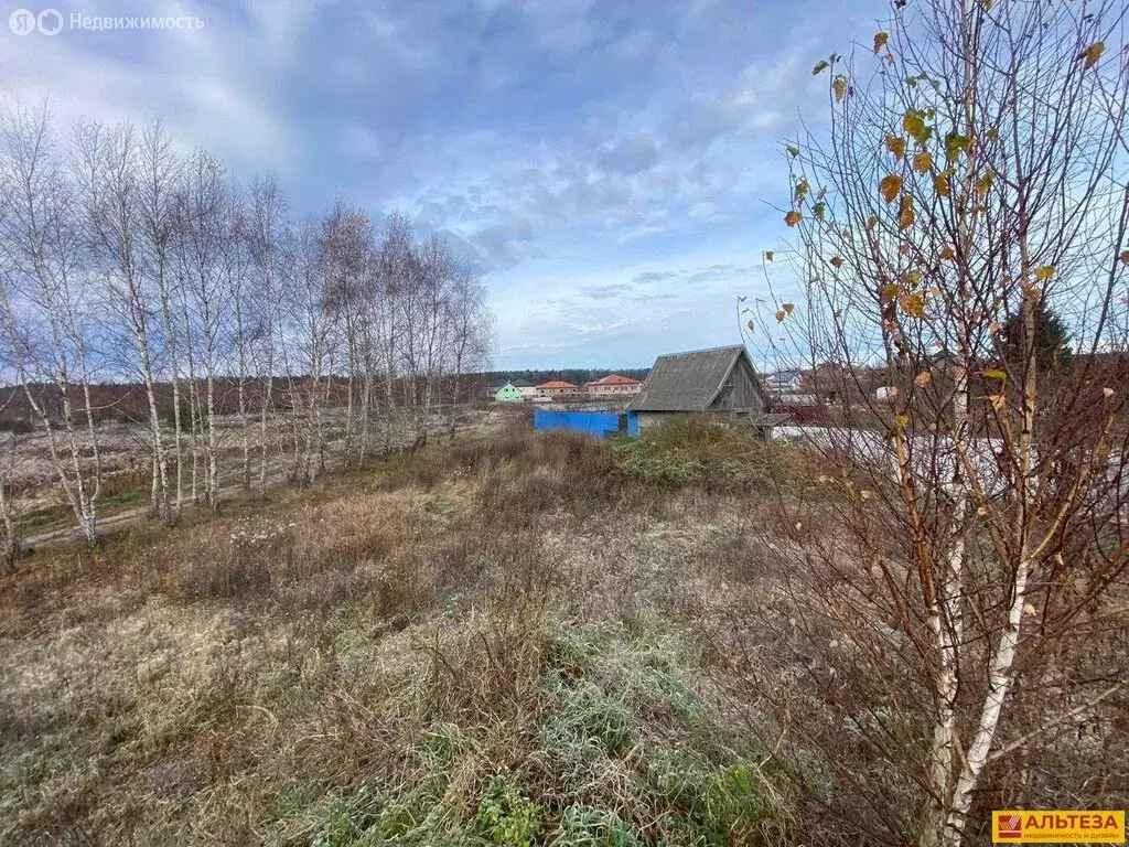 Участок в Калининградская область, Зеленоградский муниципальный округ, ... - Фото 2