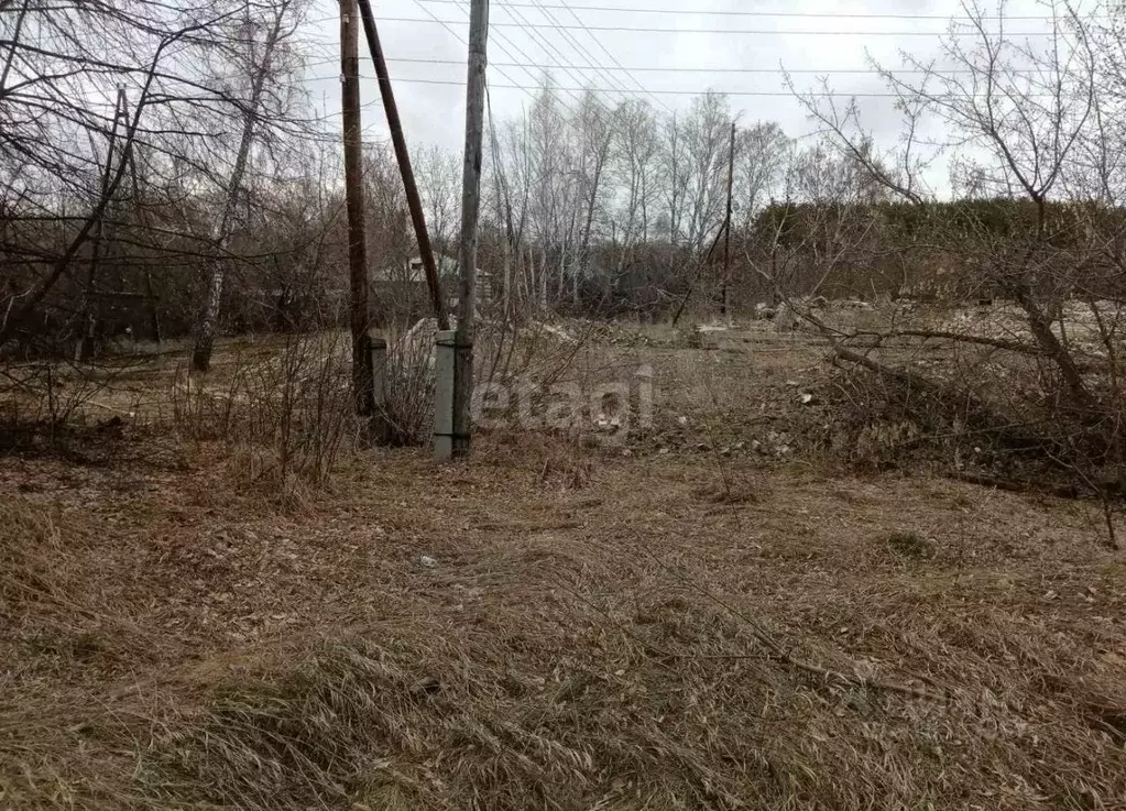 Участок в Курганская область, Шадринский муниципальный округ, с. ... - Фото 0