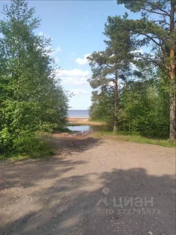Участок в Ленинградская область, Приозерский район, Запорожское с/пос, ... - Фото 2