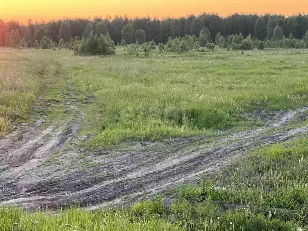 Участок в Тюменская область, Нижнетавдинский муниципальный округ, с. ... - Фото 1