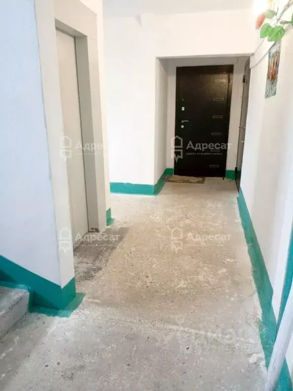 2-к кв. Волгоградская область, Волгоград Рабочий поселок Южный тер., 4 ... - Фото 2