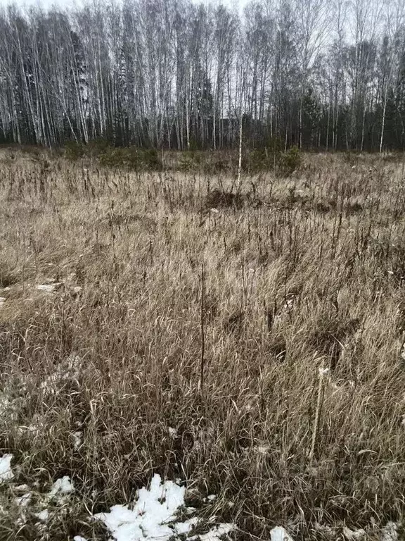 Участок в Свердловская область, Белоярский муниципальный округ, ... - Фото 1