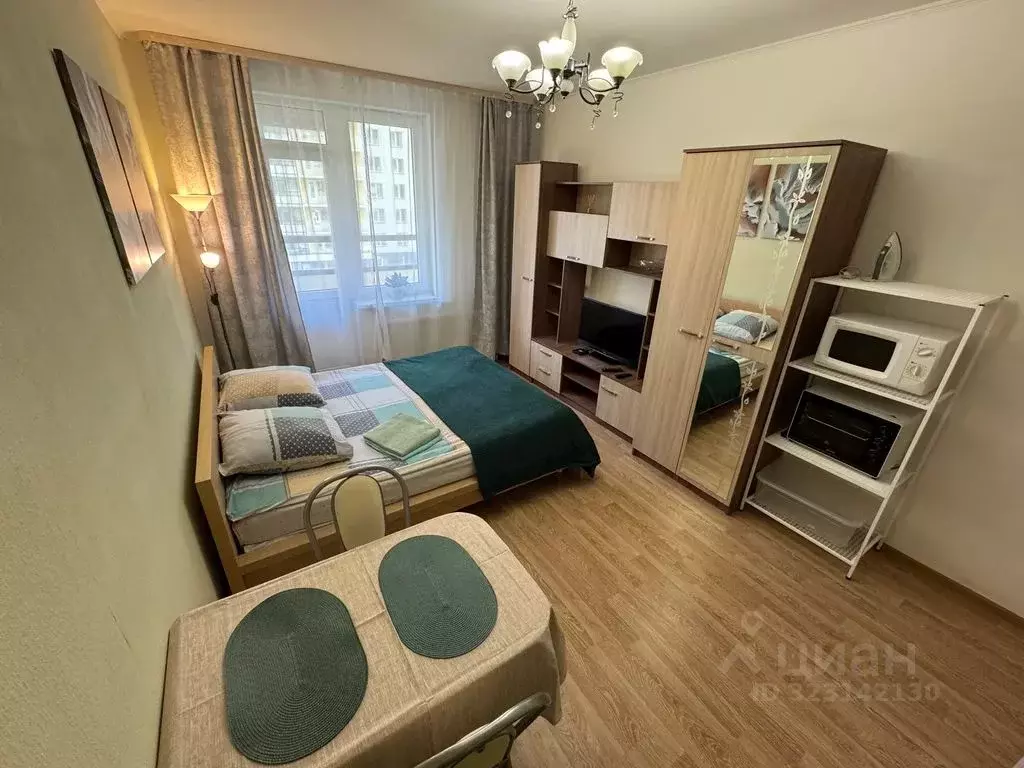 Студия Санкт-Петербург просп. Ветеранов, 171к5 (26.0 м) - Фото 2