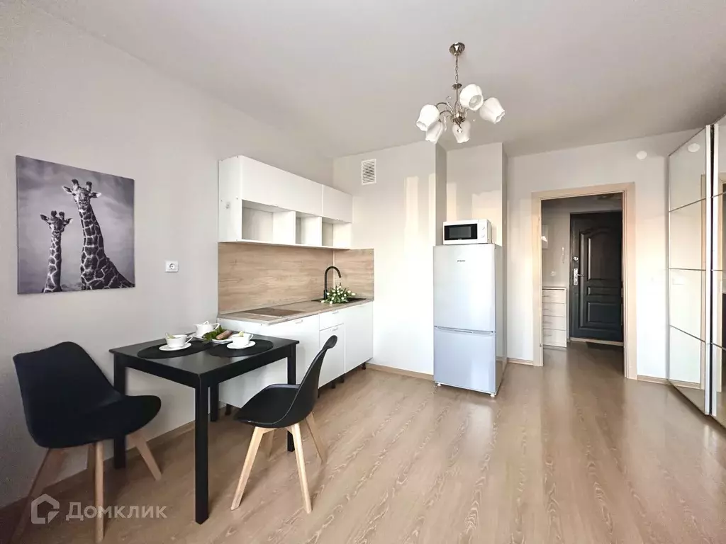 Продаётся квартира-студия, 24.1 м - Фото 0