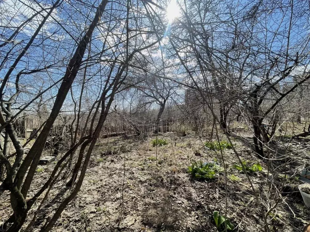 Участок в Нижегородская область, Нижний Новгород 1-я Оранжерейная ул., ... - Фото 1