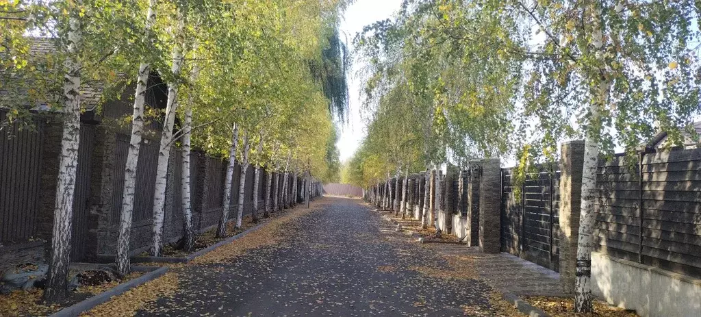 Участок в Воронежская область, с. Новая Усмань ул. Краснознаменная, 86 ... - Фото 0