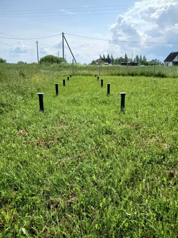 Участок в Новгородская область, Шимское городское поселение, д. Голино ... - Фото 1