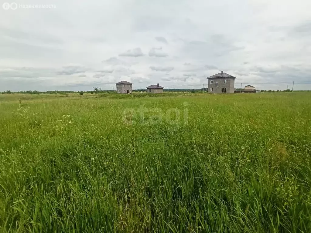 Участок в Калининградская область, Гурьевский муниципальный округ, ... - Фото 0